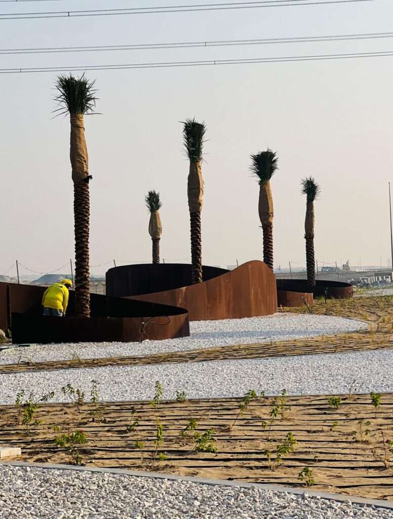 Proscape FM LLC supplying and planting date palm trees for Dubai Municipality in UAE – professional palm installation and landscaping services